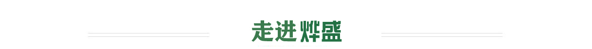 保溫釘生產廠家